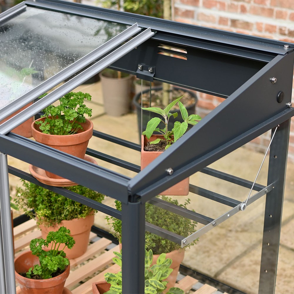Compact growhouse - anthracite
