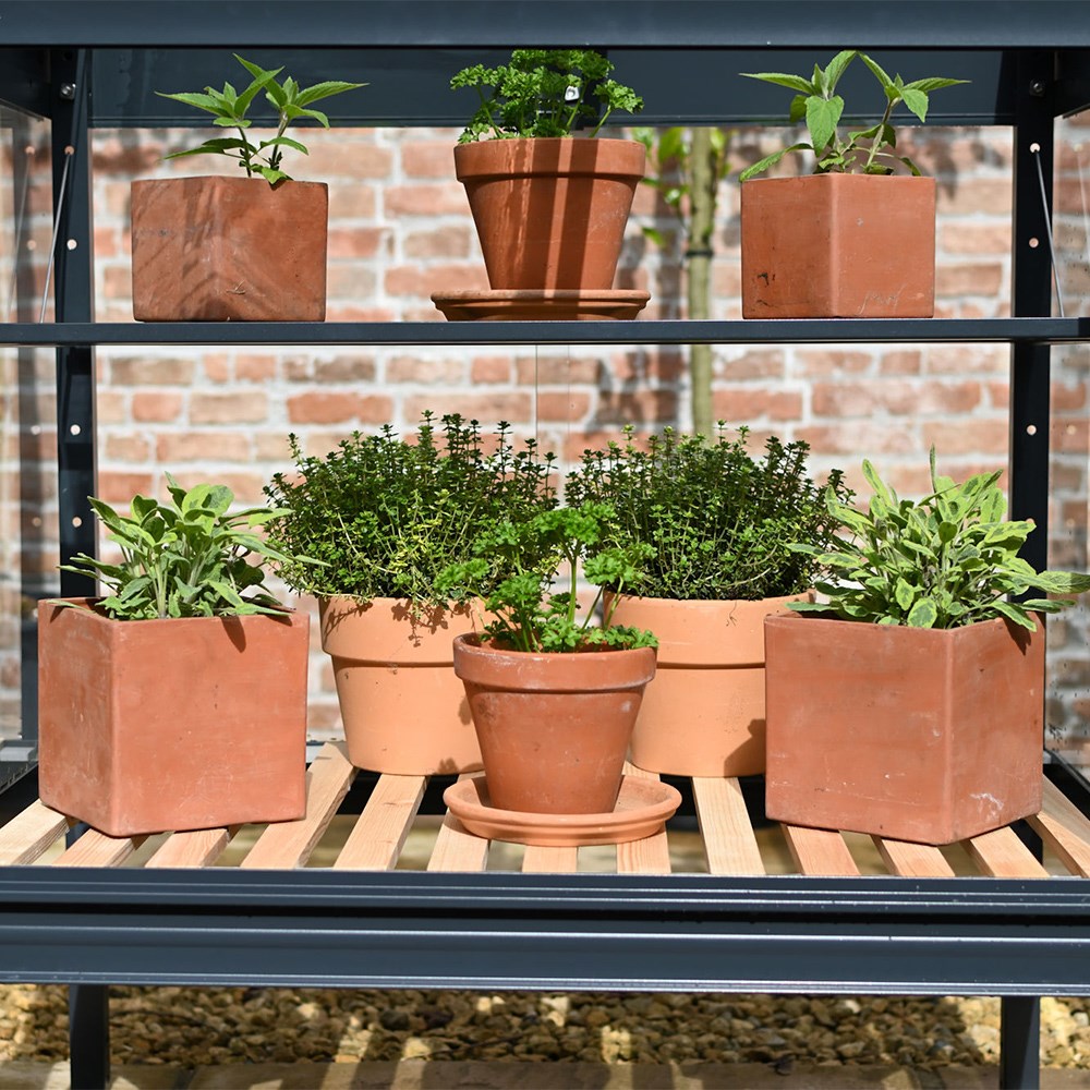 Compact growhouse - anthracite