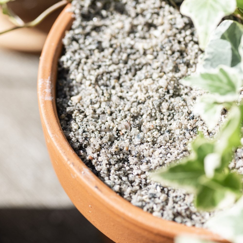Melcourt RHS horticultural potting grit