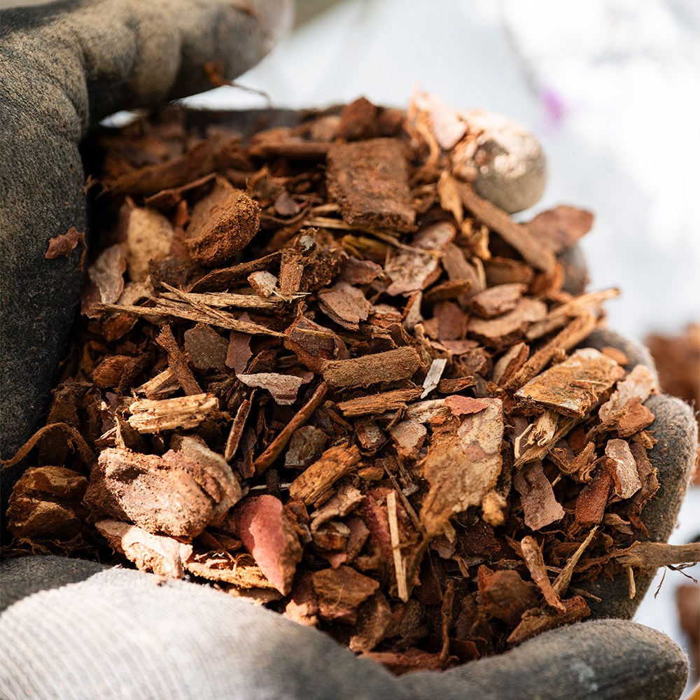 Melcourt RHS pine mini chips