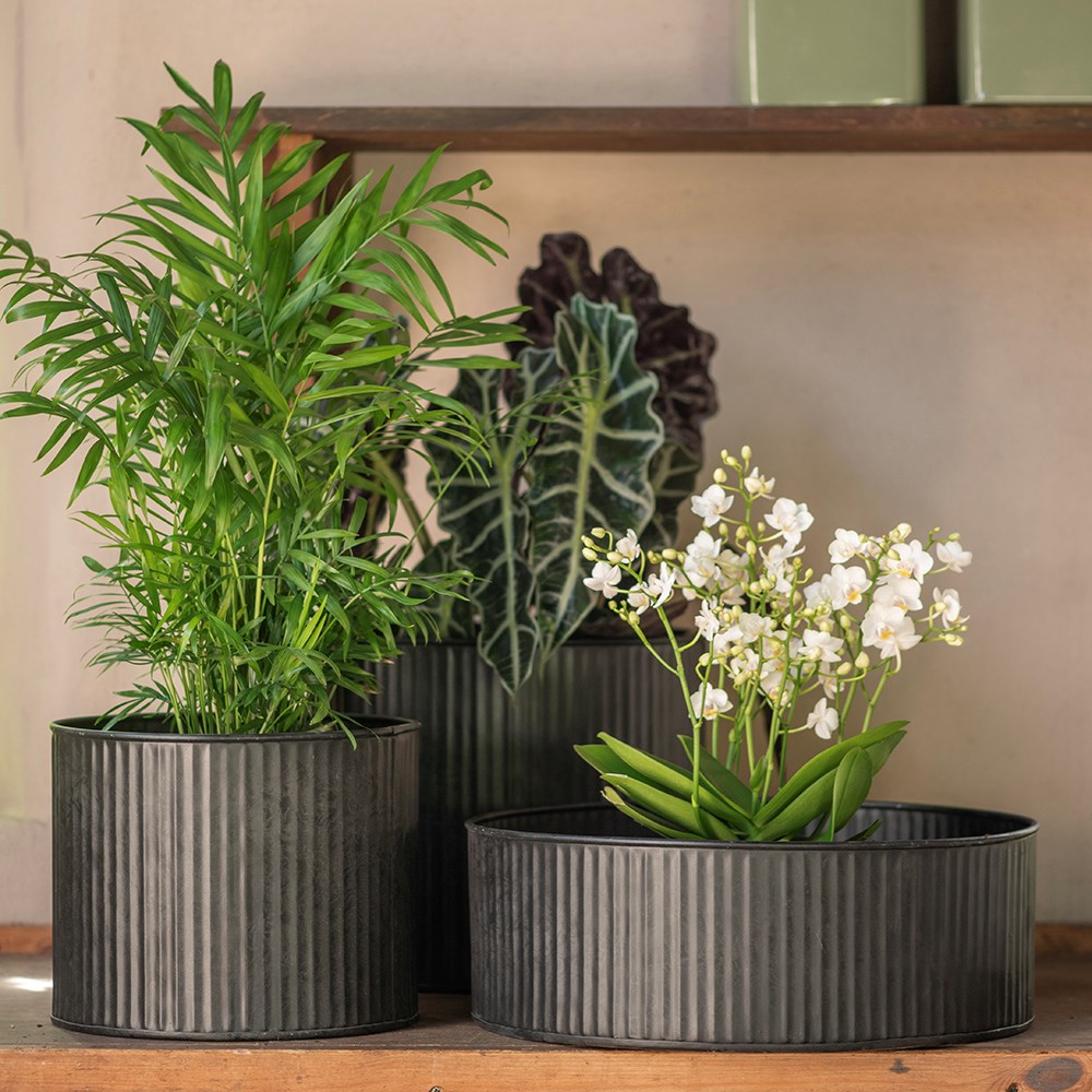 Verti rib pot