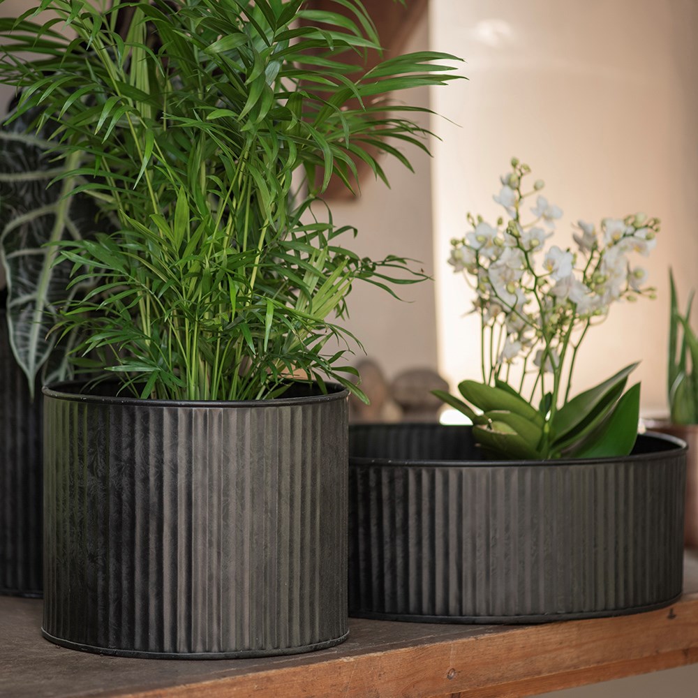 Verti rib pot