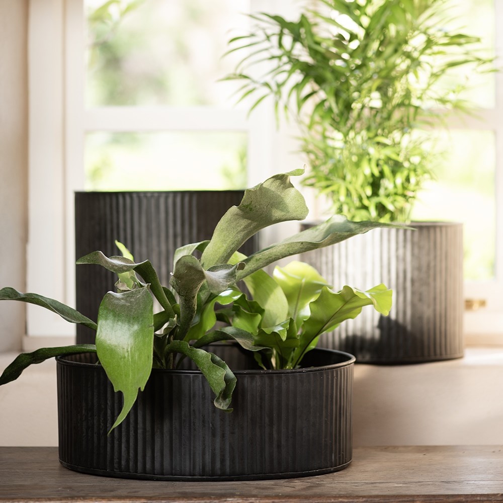 Verti rib pot