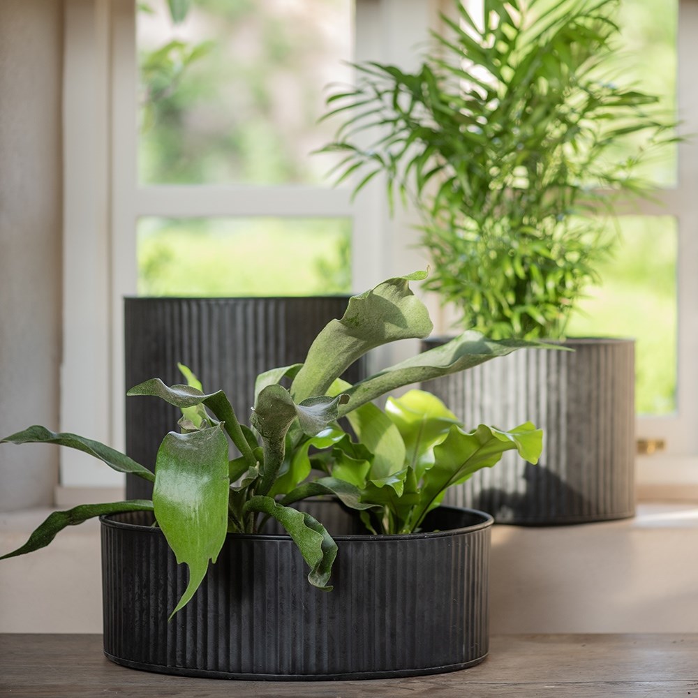 Verti rib pot