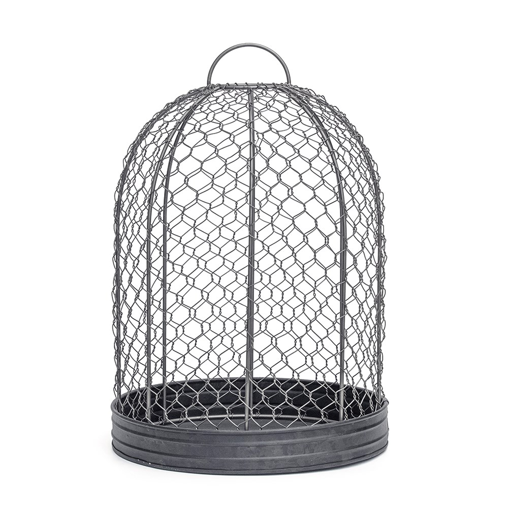 Bird cage cloche and tray