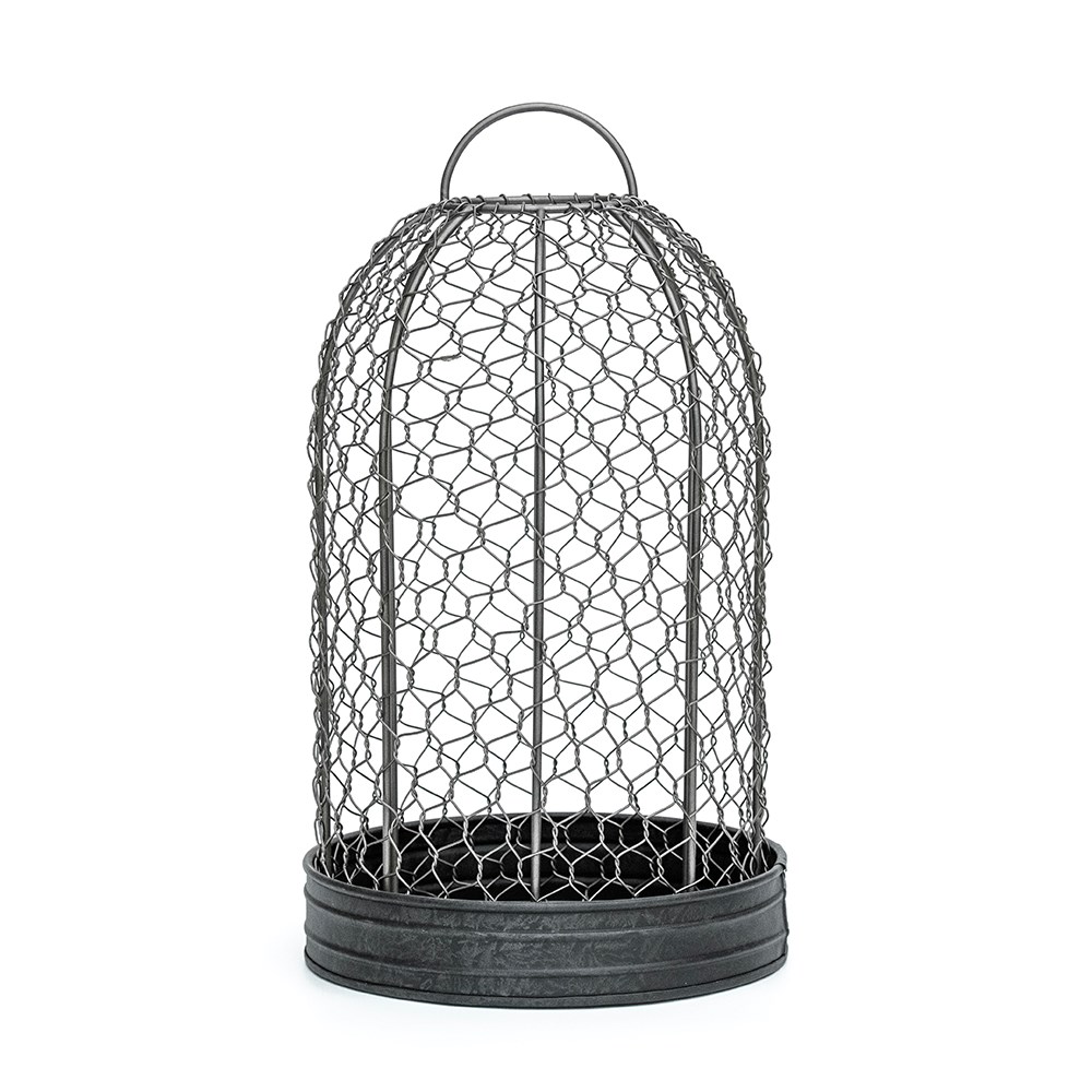 Bird cage cloche and tray