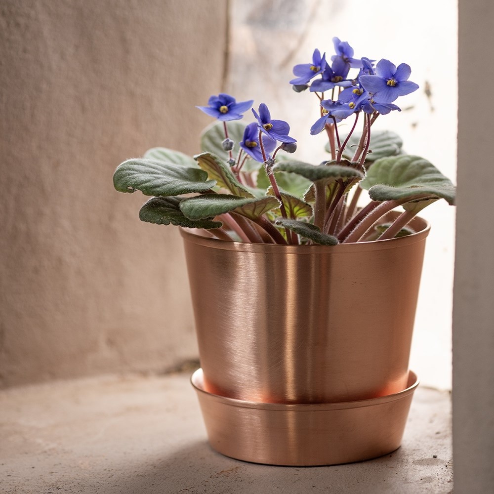 Brushed copper pot and tray