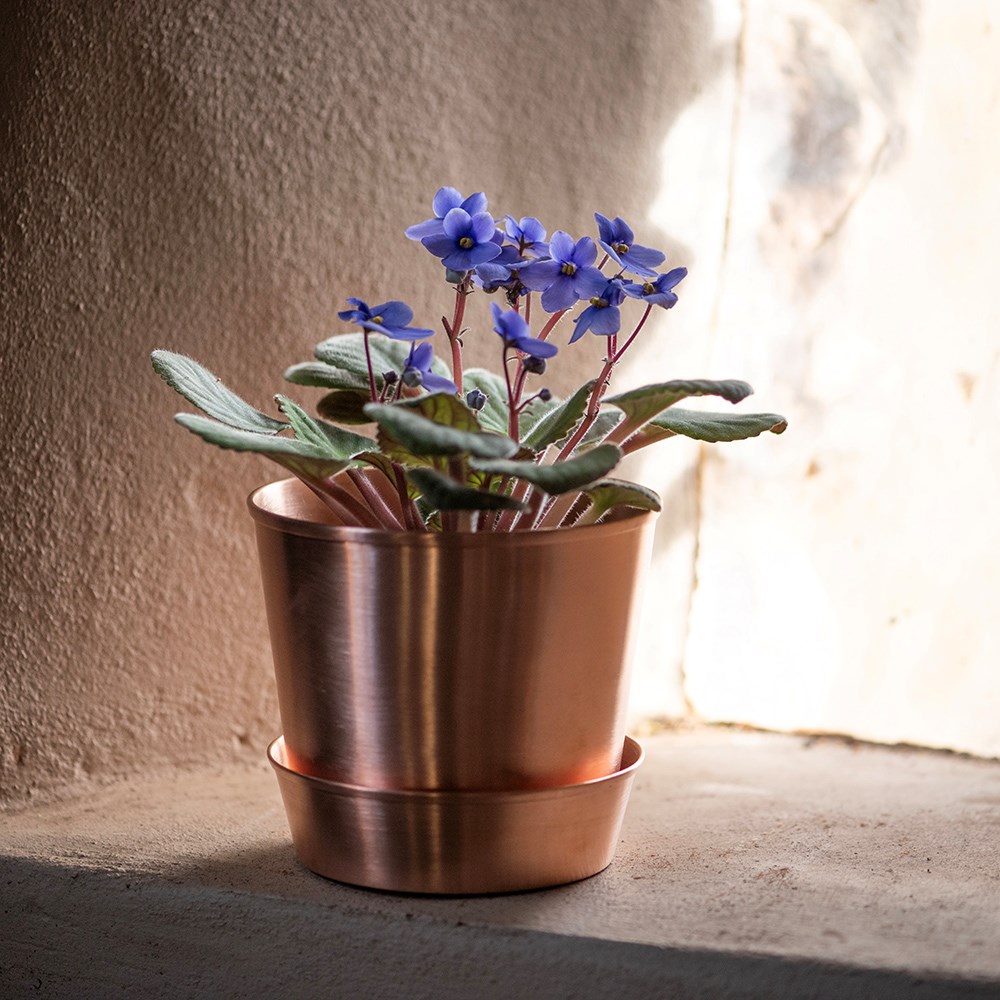 Brushed copper pot and tray