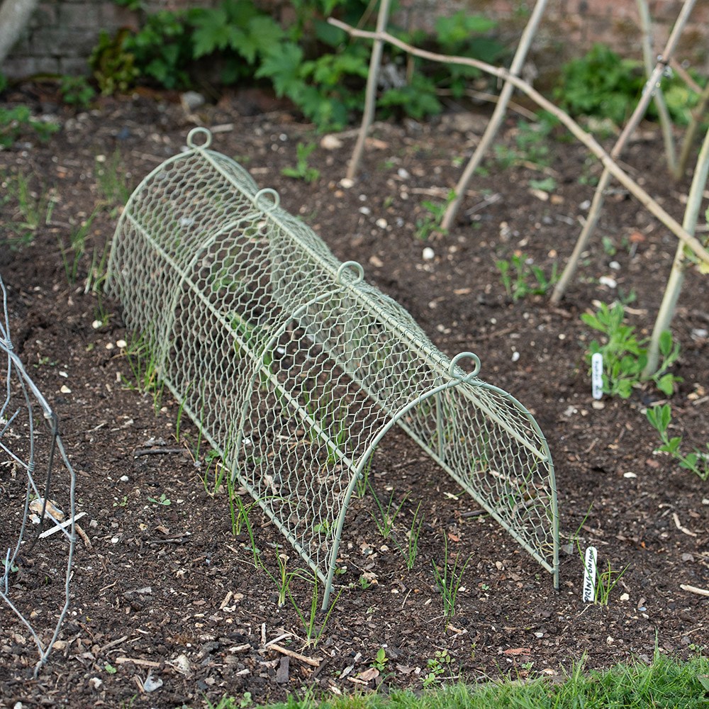 Deer cloche