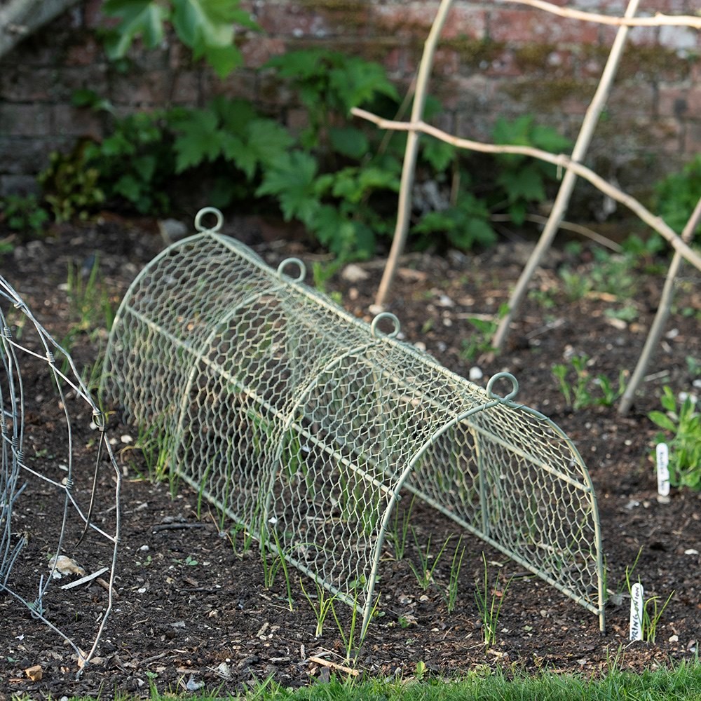 Deer cloche