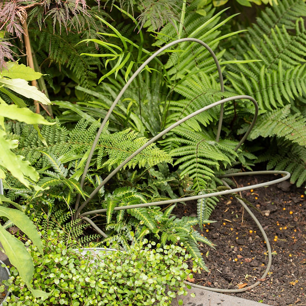 Crocosmia supports - set of two