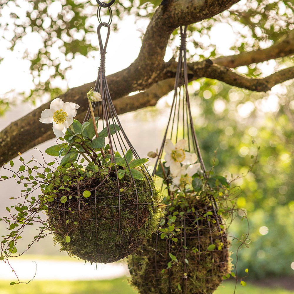 Weaver nest basket