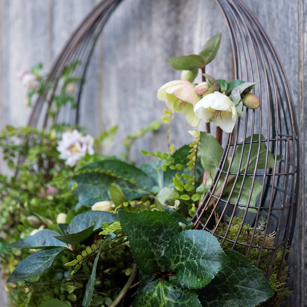 Living wreath basket - small