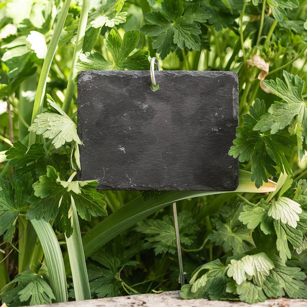 Large slate plant labels - set of 4