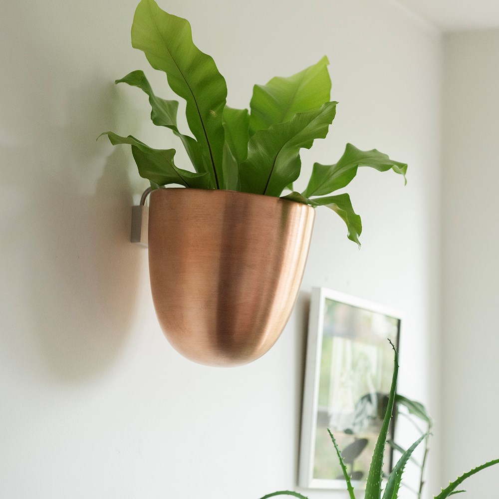 Wall drop pot - copper