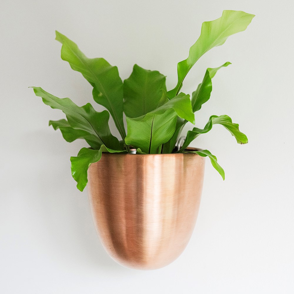 Wall drop pot - copper
