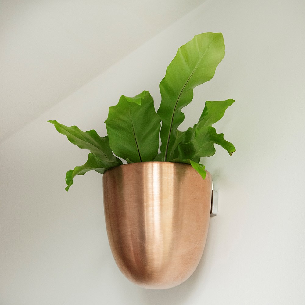 Wall drop pot - copper