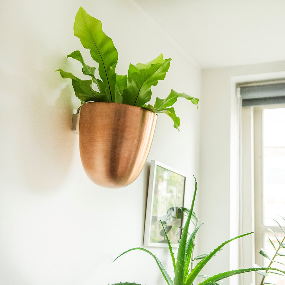 Wall drop pot - copper
