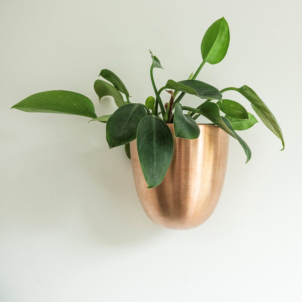 Wall drop pot - copper
