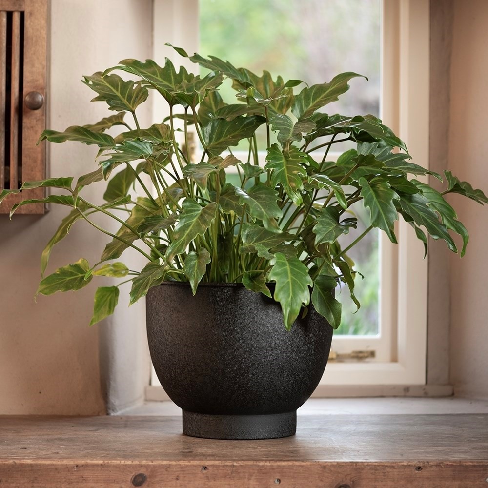 Pot with step base - charcoal