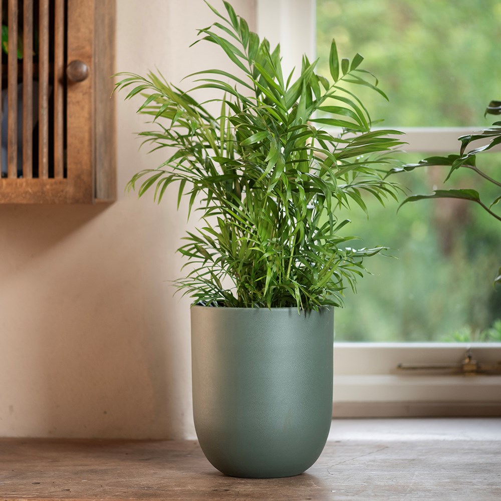 Straight sided pot - teal