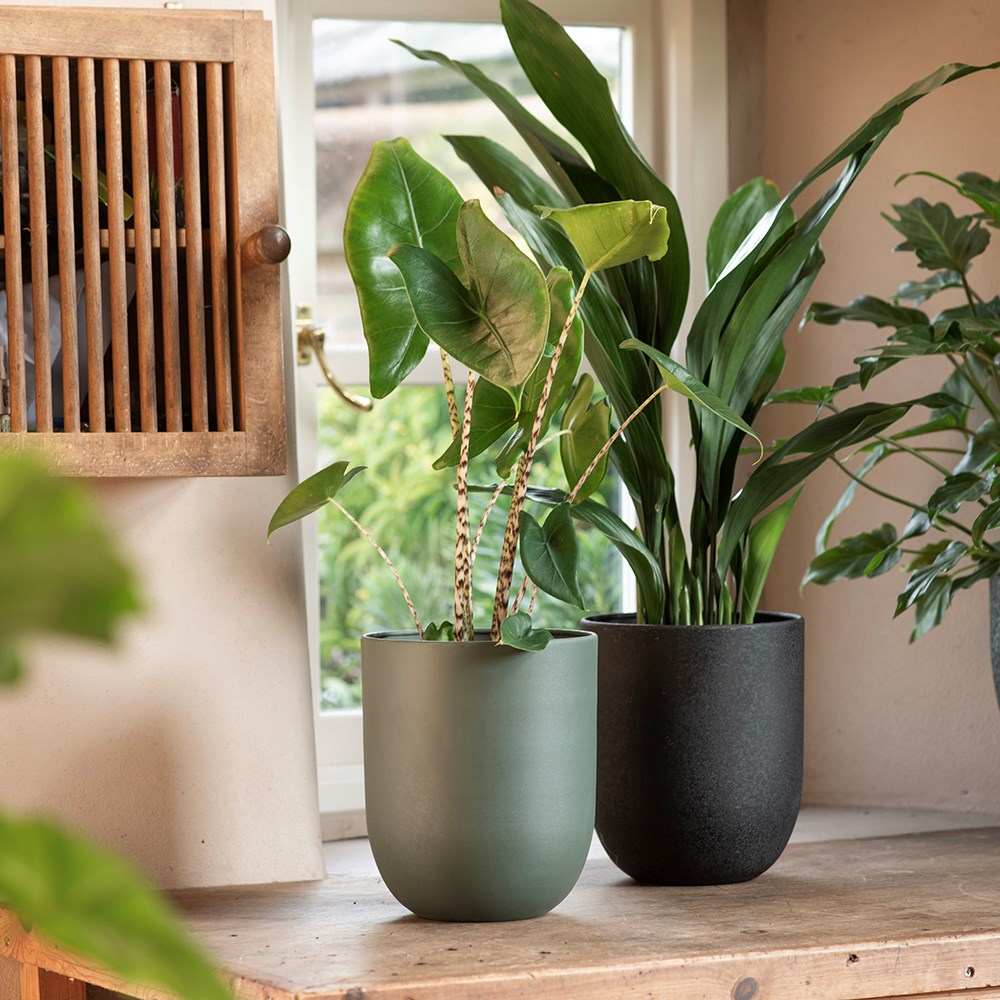 Straight sided pot - teal