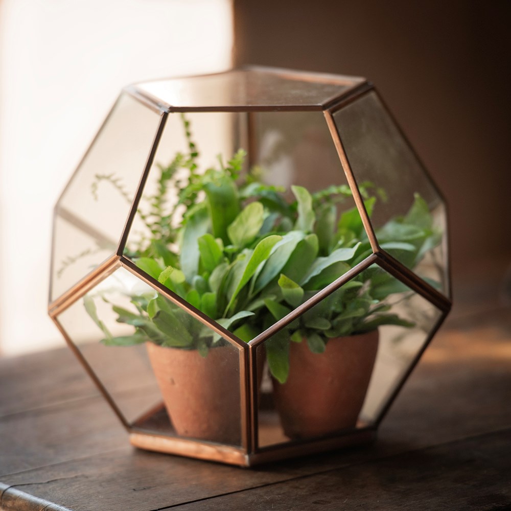 Pentagon terrarium - copper