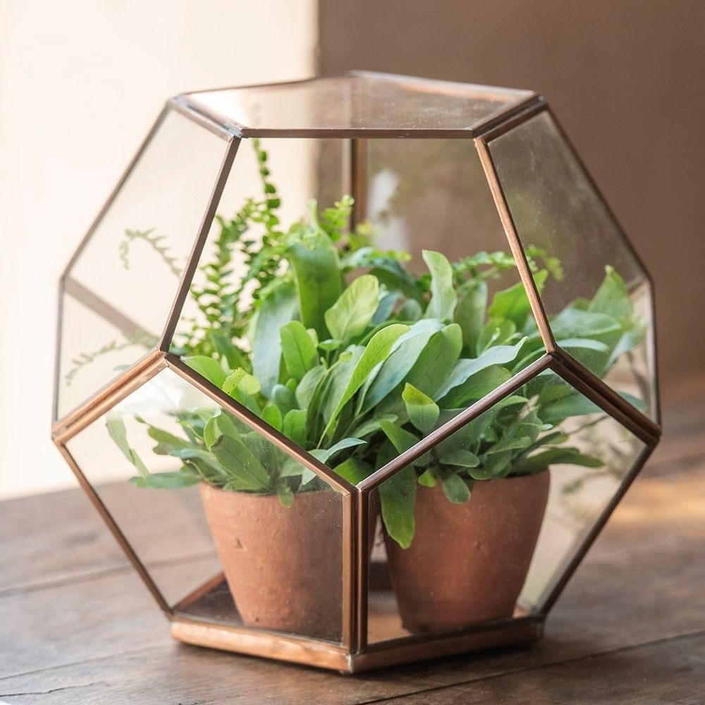 Pentagon terrarium - copper