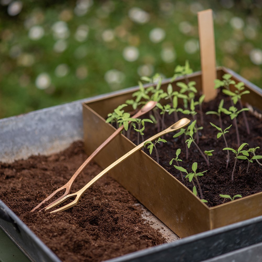 Seedling pricker - copper