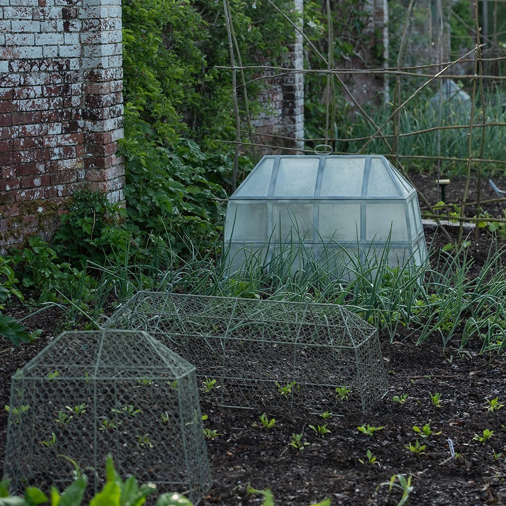 Victorian rectangular cloche - double height 