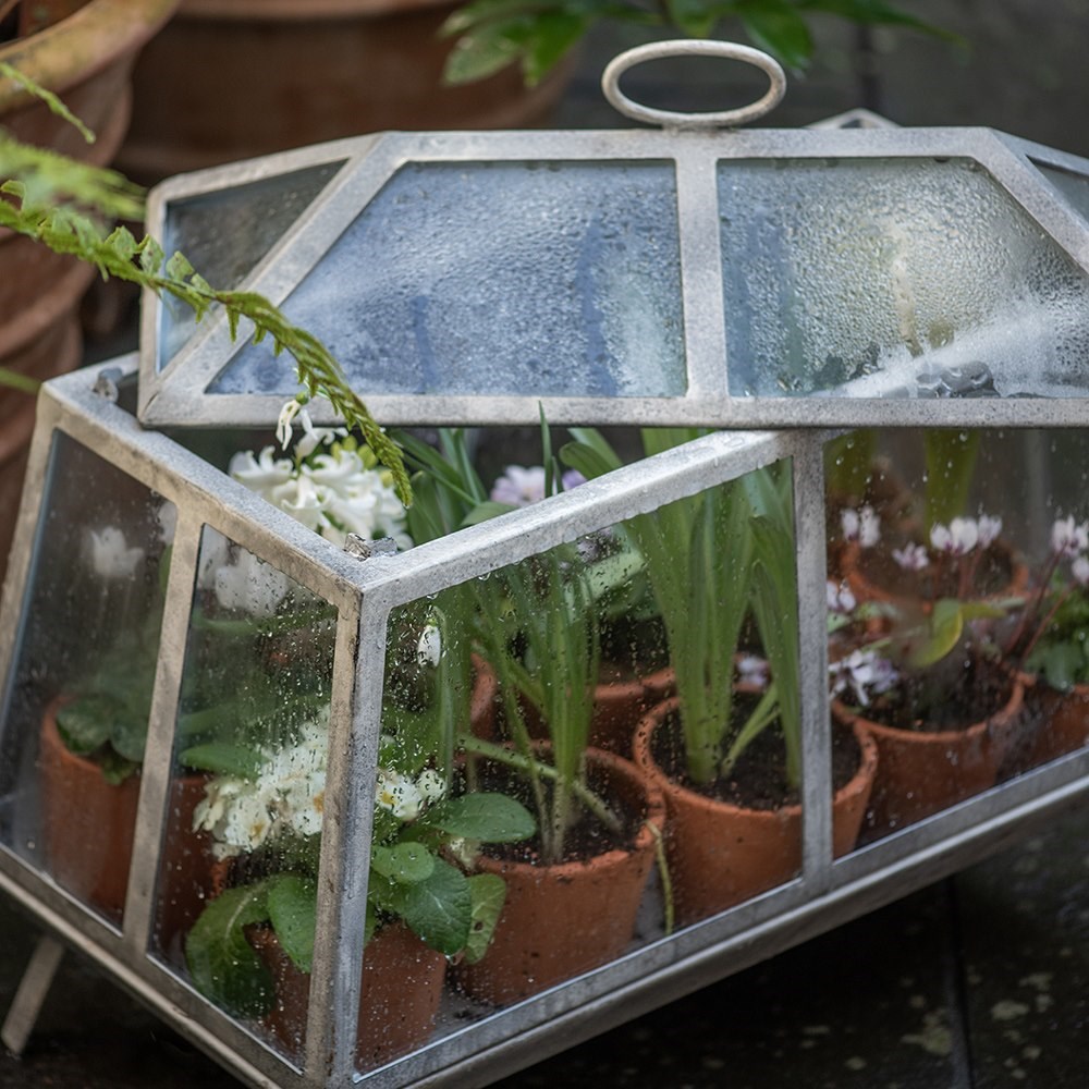 Mini Victorian growhouse
