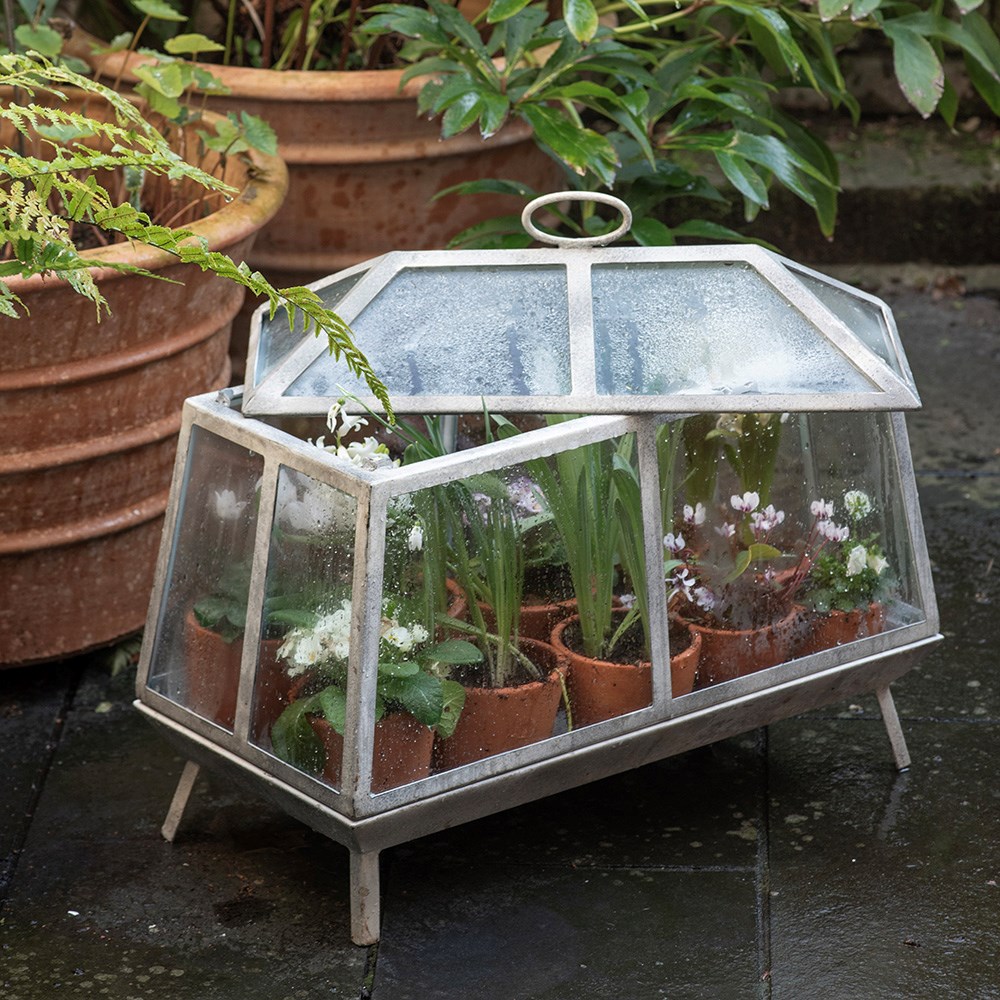 Mini Victorian growhouse