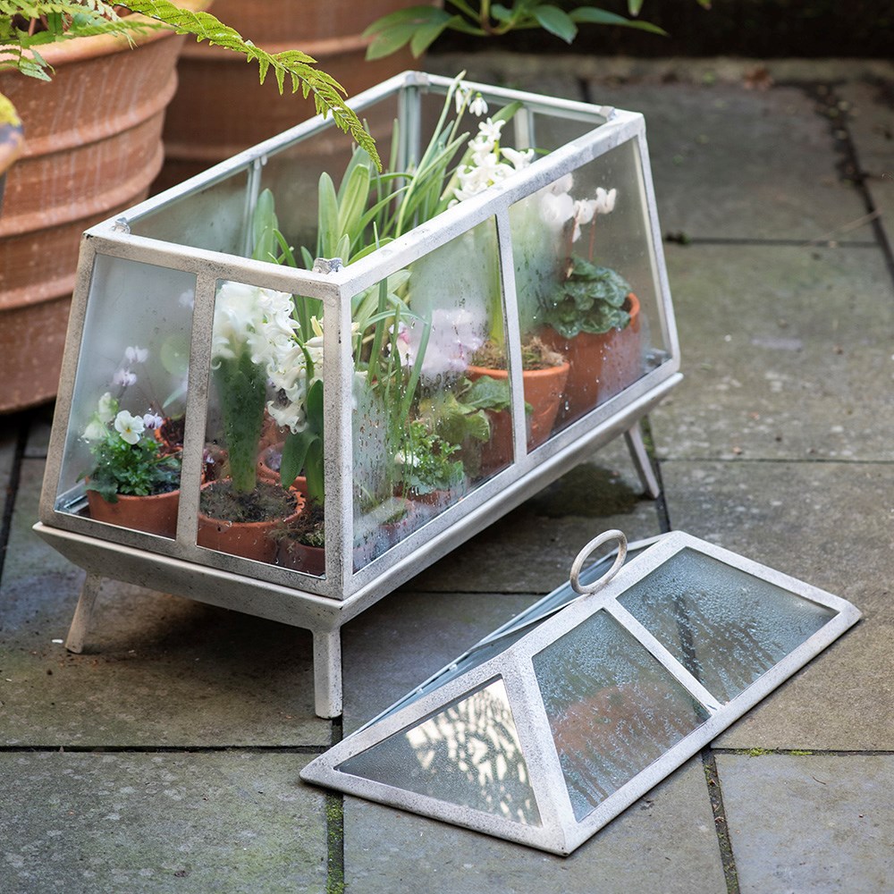 Mini Victorian growhouse