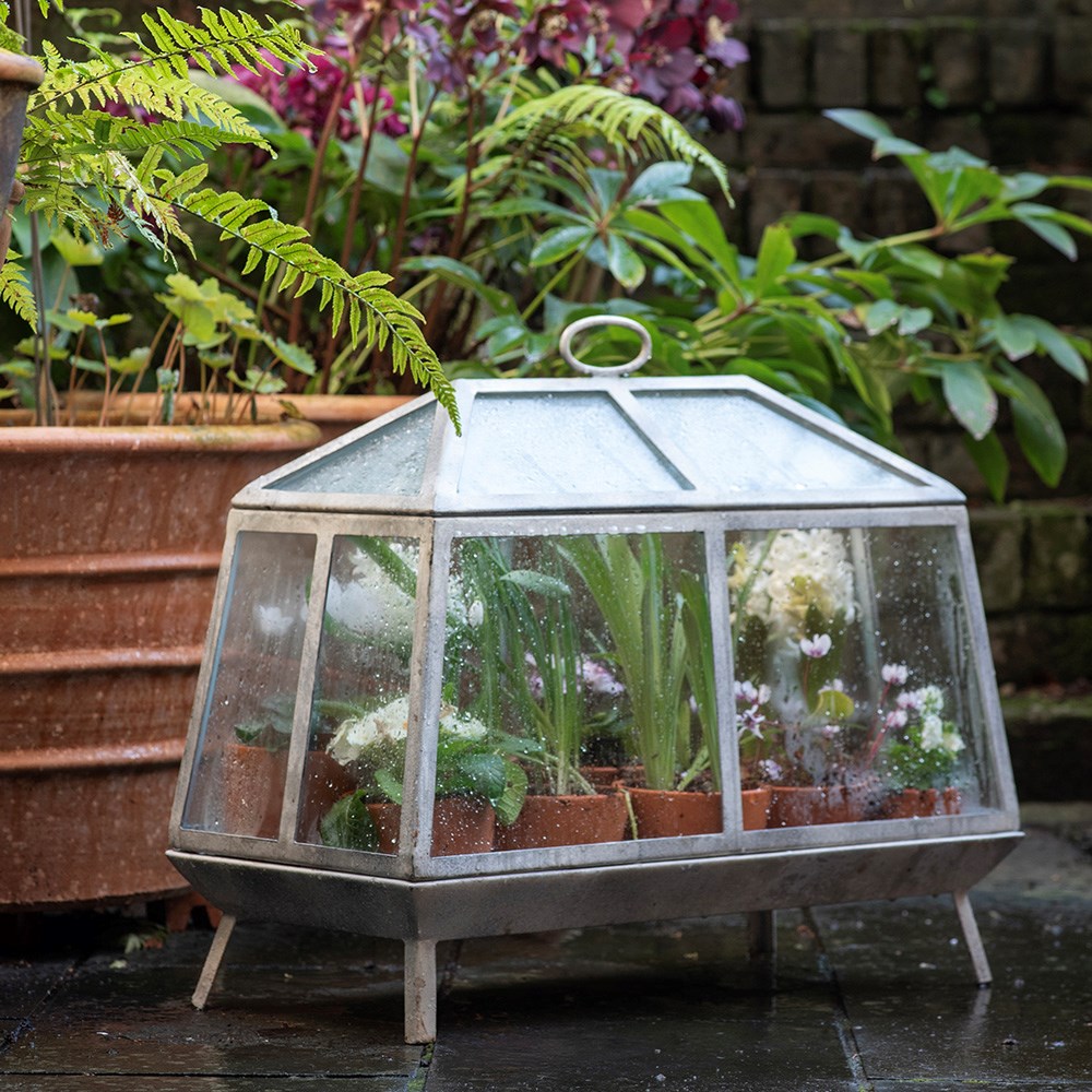 Mini Victorian growhouse