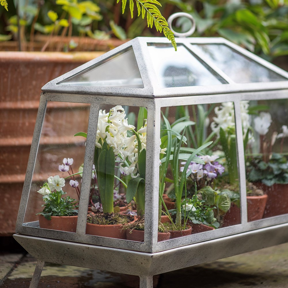 Mini Victorian growhouse