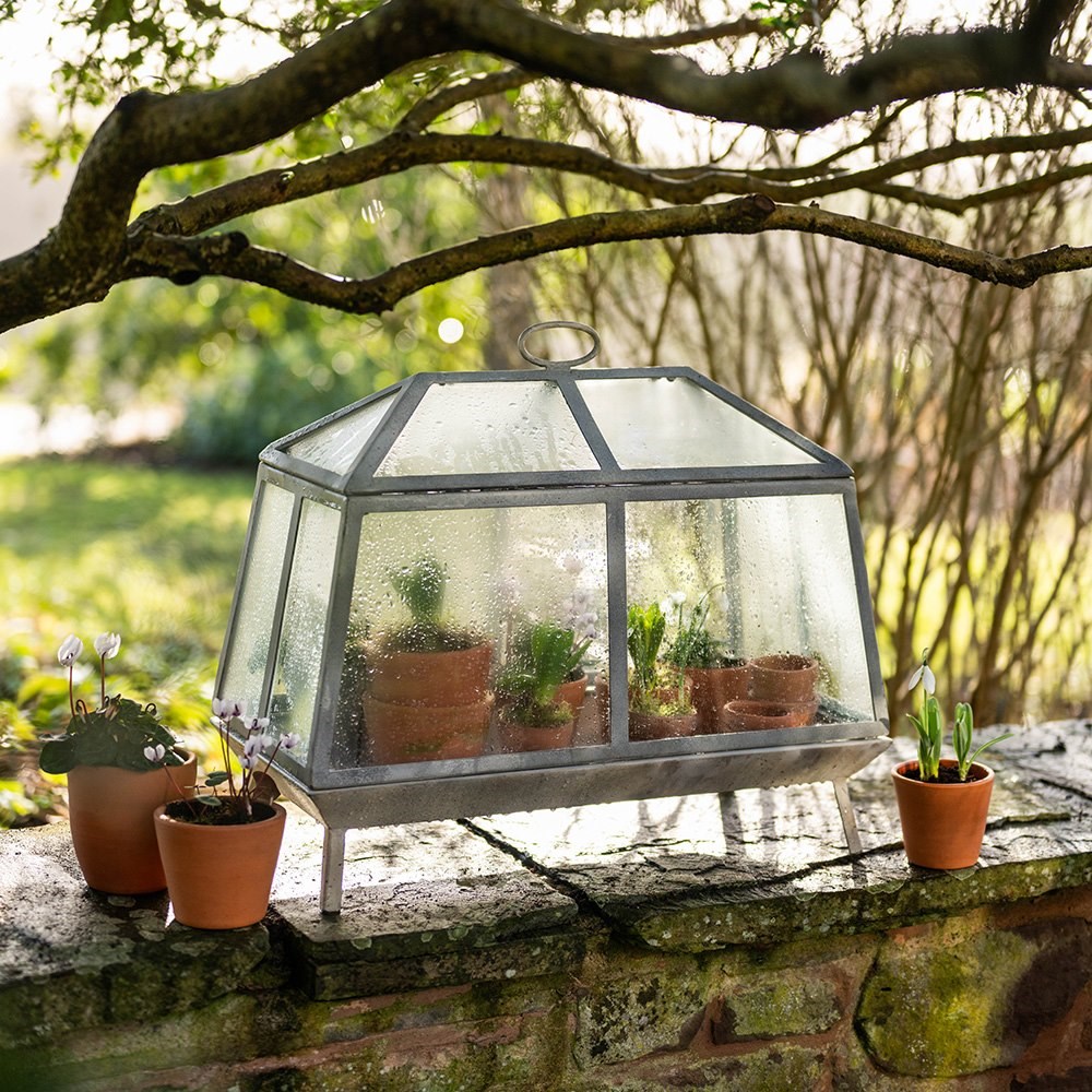 Mini Victorian growhouse