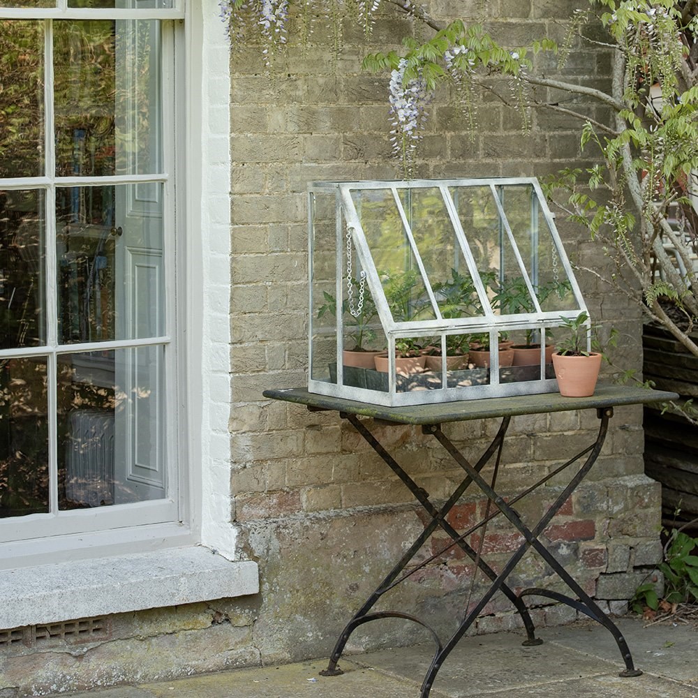 Table top growhouse