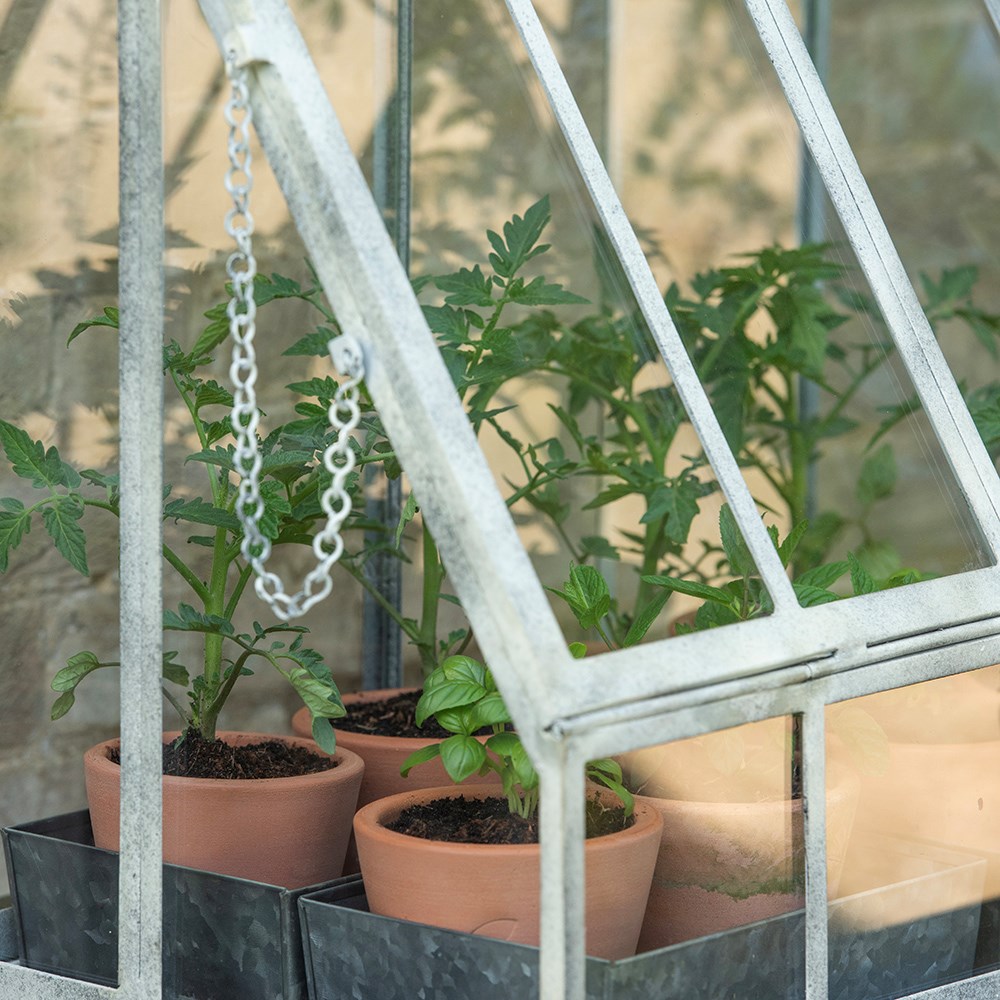 Table top growhouse
