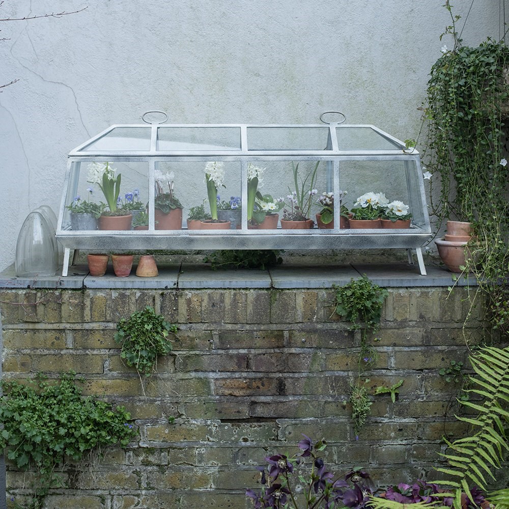 Long barn Victorian growhouse