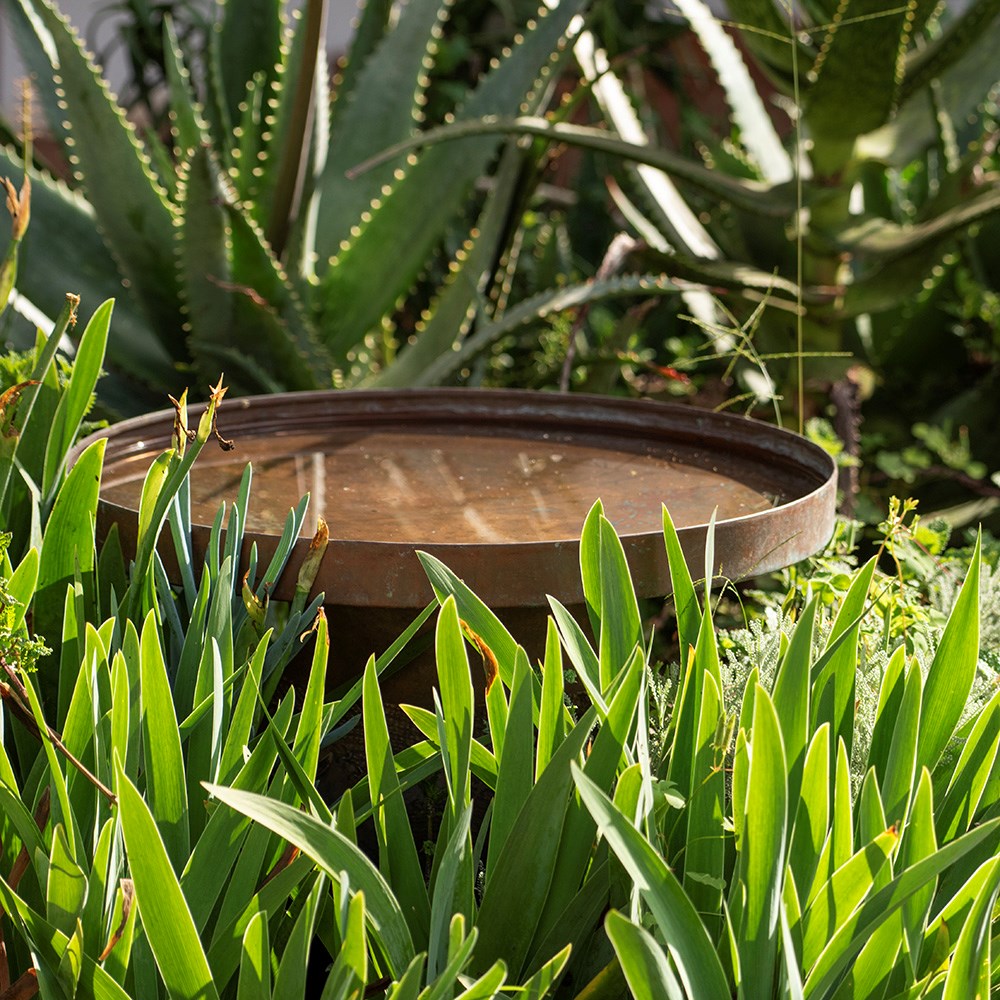Brass tray