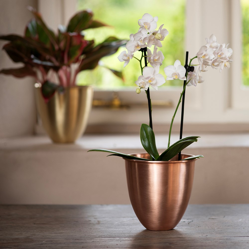 Brushed copper pot