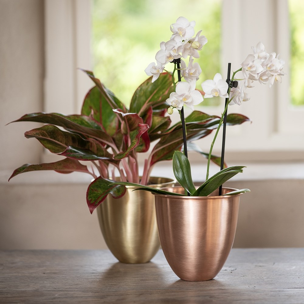 Brushed copper pot