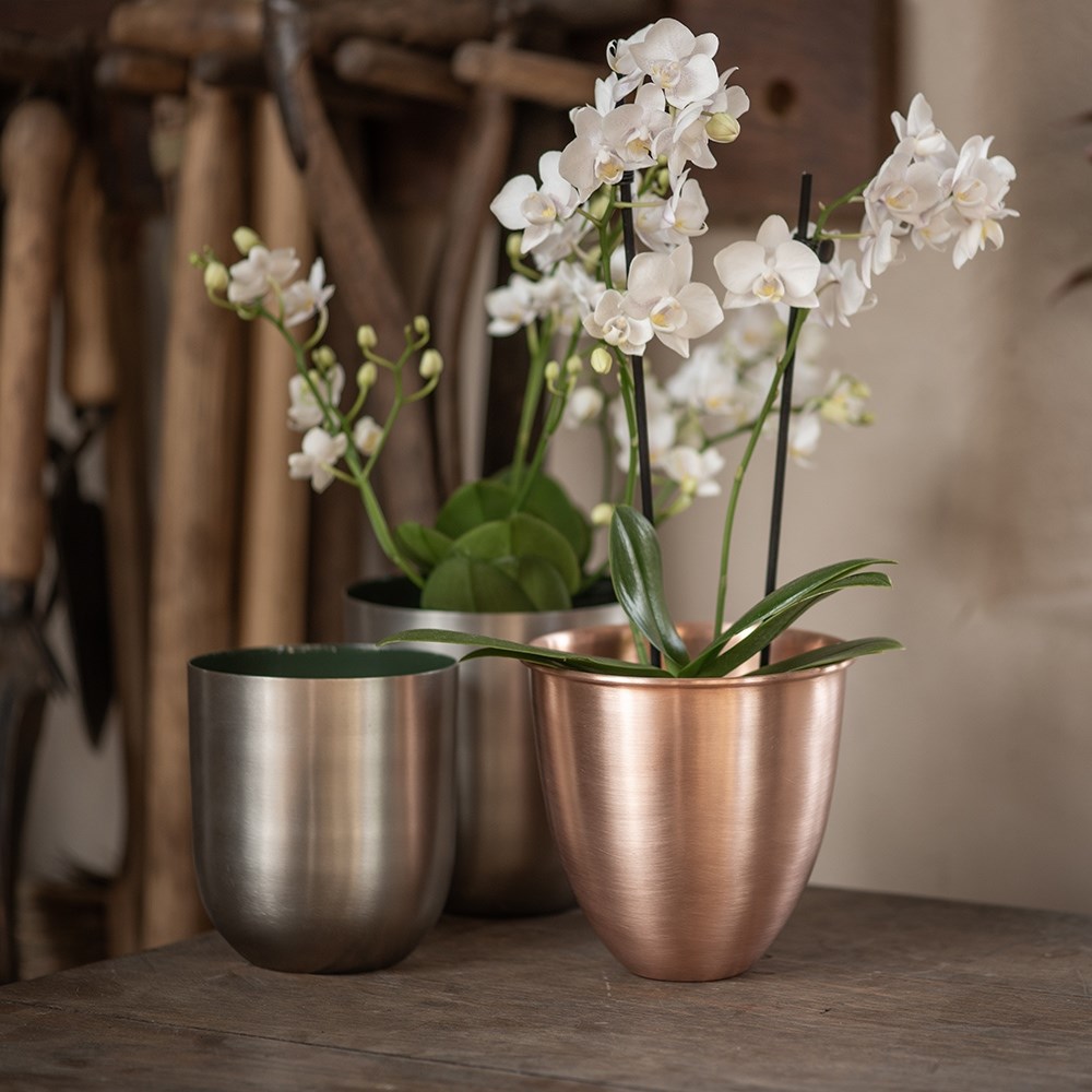 Brushed copper pot