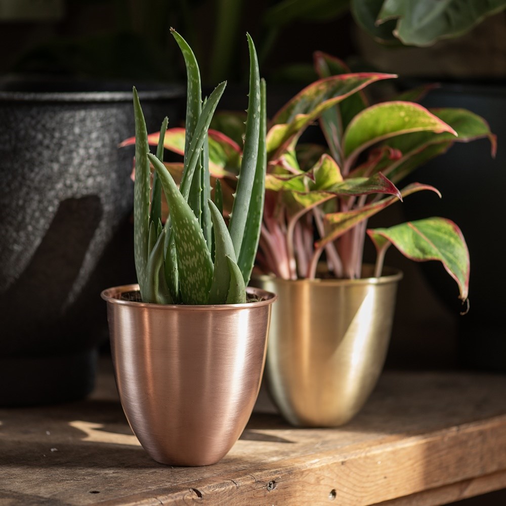 Brushed copper pot