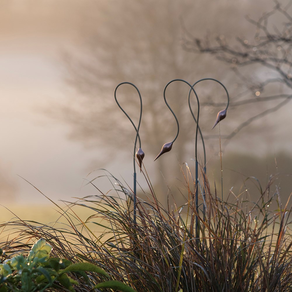 Allium bud stake