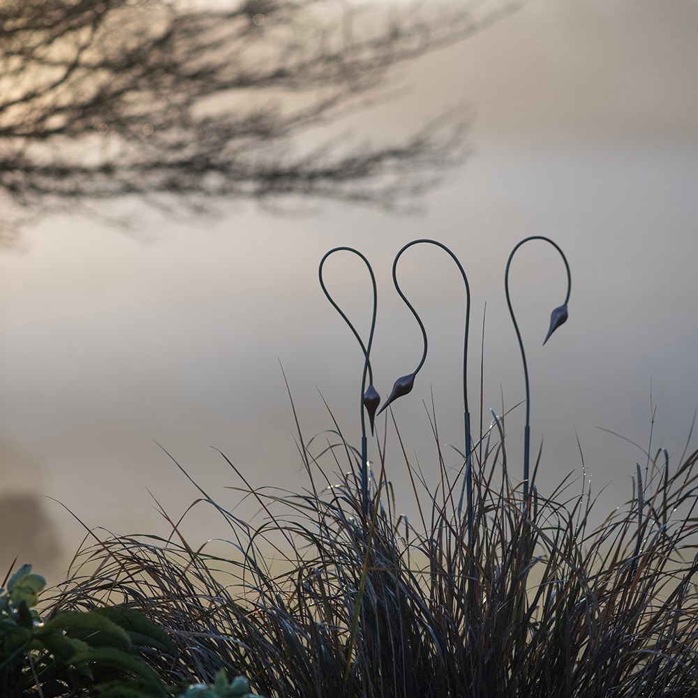 Allium bud stake