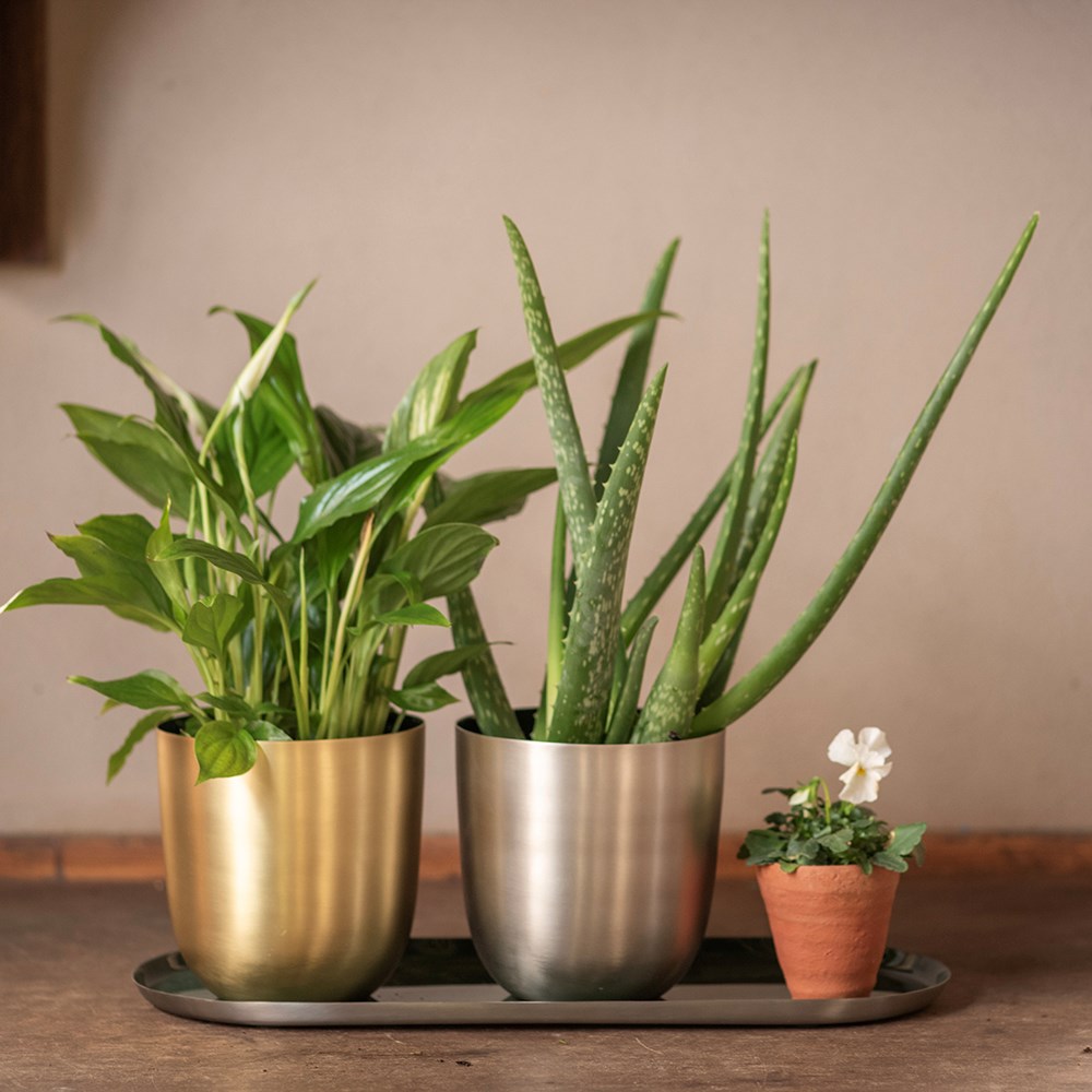 Brushed silver pot with enamel interior