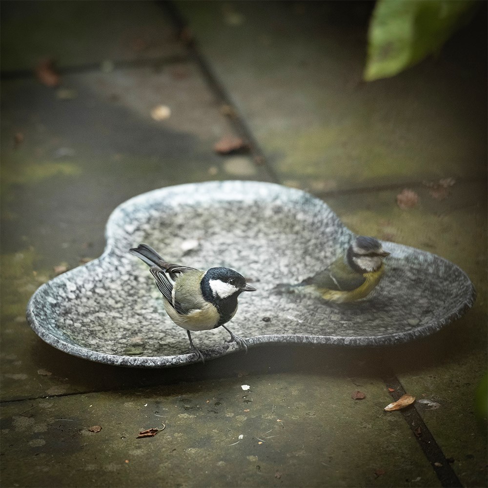 Clover bird bath - speckled grey