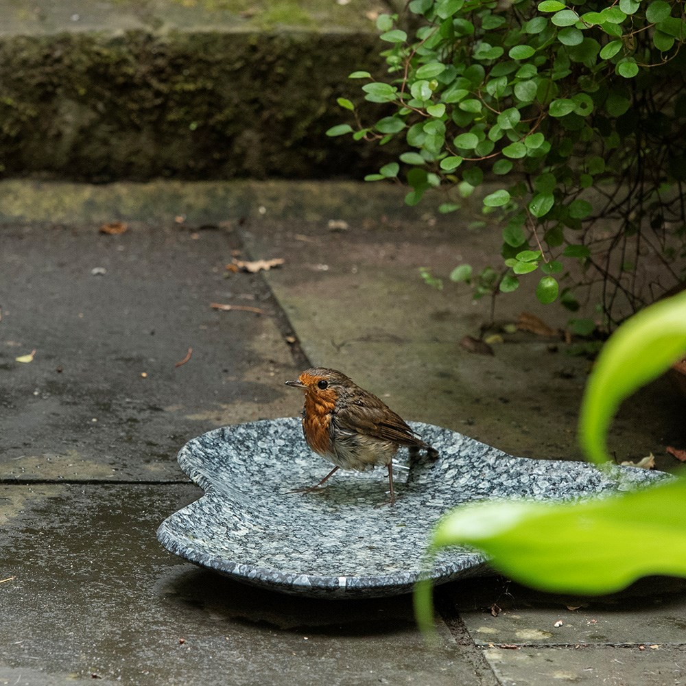 Clover bird bath - speckled grey