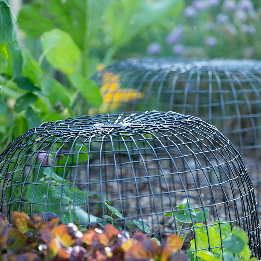 Cloche/basket - antique pewter